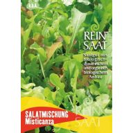 Kopfsalat Bio Misticanza Rein Saatgut für ca. 4-5 m2