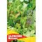 Kopfsalat Bio Misticanza Rein Saatgut für ca. 4-5 m2