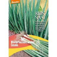 Bindezwiebel Bio Winter Hedge Cosmo Reinsaat ca. 1 g