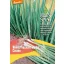 Bindezwiebel Bio Winter Hedge Cosmo Reinsaat ca. 1 g
