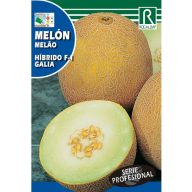Cantaloupe Galia F1 (grünes Fruchtfleisch) Rocalba 0,5 g