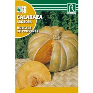 Kürbis Muscade de Provence Rocalba 5g