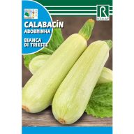 Zucchini Bianca di Trieste Rocalba 8 g
