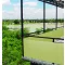 Ovales Kunststoffrohr Litecane PVC-Bambus 1x3 m