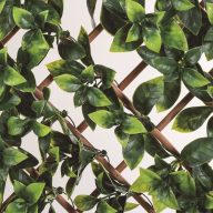   Nonnenspalier aus Bambus mit Zierblättern TRELLIBAMBU BUXUS grün-braun 1 x 2 m