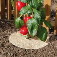 Mulch 100% natürlich Chanvrelin 500 natur 40 cm Durchmesser