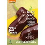Bio Sweet Chocolate Rein Seeds ca. 30 Samen