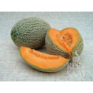 Cantaloupe Bio Best Jumbo Pure Seed ca. 25 Samen