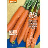 Karotte Bio Rodelika Rein Saat ca. 50 Samen