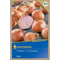 Dughagyma Bio Salottahagyma Biztro (lila) Kiepenkerl 10 db