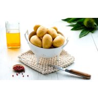 Kartoffelsamen Knolle "Monique" 50 Stück