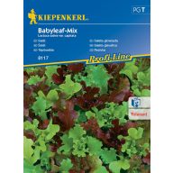   Tränensalat Babyleaf Mix (Oaking, Diablotin, Greenet, Cavendish) Kiepenkerl 3 m