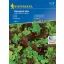 Tränensalat Babyleaf Mix (Oaking, Diablotin, Greenet, Cavendish) Kiepenkerl 3 m