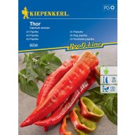 Spitzpaprika Thor F1 Kiepenkerl ca. 7 Samen