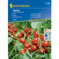 Salattomaten Matina Kiepenkerl ca. 35 Samen