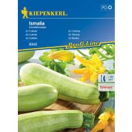 Zucchini Ismalia F1 Kiepenkerl Ca. 6 Samen