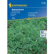 Pfefferminz Kiepenkel ca. 200 Samen