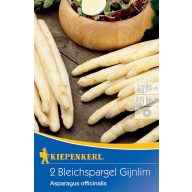 Weißer Spargel Gijnlim Kiepenkerl 2 Pflanzen