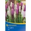 Blumenzwiebel Ornamental (Liatris) Mix Kiepenkerl 8 Stück