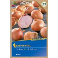 Dughagyma Bio Salotta Zwiebel Biztro Kiepenkerl 10 Stück