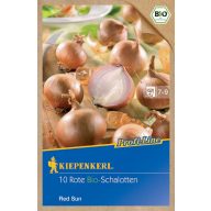 Dughagyma Bio Schalotten Rote Sonne Kiepenkerl 10 Stück