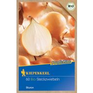 Dughagyma Bio-Zwiebeln Sturon Kiepenkerl 60 Stück