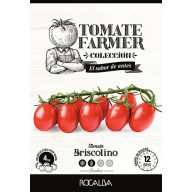 Kirschtomaten Briscolino (Landwirt) Rocalba 8 Körner