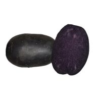 Kartoffelknolle lila 'Bleuet' 25-35 mm 50 Stück