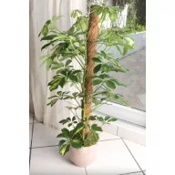 Kókusztámasz COCO Ø 45 mm 120 cm