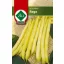 Sárgahüvelyű bokorbab Rege 65g ZKI