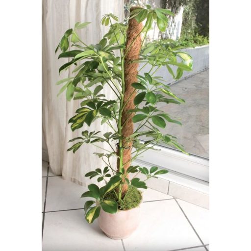 Kókusztámasz COCO Ø 45 mm 150 cm