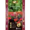 Blumenerde Muskatnuss und Balkonerde Dolce Vital 40 l