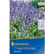 Blumenzwiebeln Blue Bell Blue Bell 7 Stück Kiepenkerl