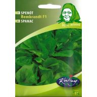 Spinat Rembrandt F1 3g