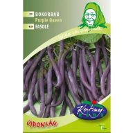Bokornbohnen lila Schoten Purple Queen 50 g