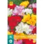 Blumenzwiebeln Fresia Dubbel/Double Mix 15 Stück JUB