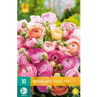 Zwiebel Hahnenfuß (Ranunculus) Pastell Mix 10 Stück JUB