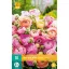 Zwiebel Hahnenfuß (Ranunculus) Pastell Mix 10 Stück JUB