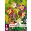 Stauden-Aquilegia-Mix (Garten-Glockenblume) 5 Stück JUB