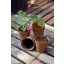 Tőzegcserép "Growing pot" 8 cm átmérő 20 db natur
