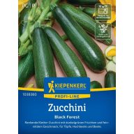 Zucchini Schwarzwald F1 Kiepenkerl 5 Stück