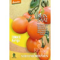 Tomate Bio Auriga Reines Saatgut ca. 30 Samen