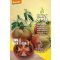 Tomate Bio Black Triefele Reines Saatgut ca. 30 Samen