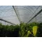 Folie TVK 16x60m 0,15 UV 3 Jahre S3N EXTRA