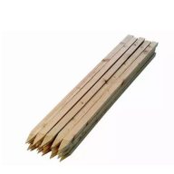 Akazie geschärft 90 cm (25 mmx25 mm)