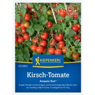 Kirschtomaten Ampelo Rot F1 Kiepenkerl 12 Samen