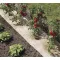 Mulch 100% natürlich Nort Chanverlin 500 0,5x3 m