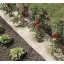 Mulch 100% natürlich Nort Chanverlin 500 0,5x3 m