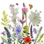 Wildblumensamenmischung aus einheimischen ungarischen Blumen Pollenmutter 5g