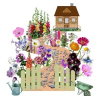   Vadvirágom őshonos magyar virágmag keverék Mama kertje 5g